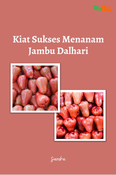 Kiat Sukses Menanam Jambu Dalhari